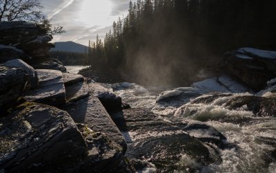 Industrie 4.0: Schweden setzt auf Zusammenarbeit
