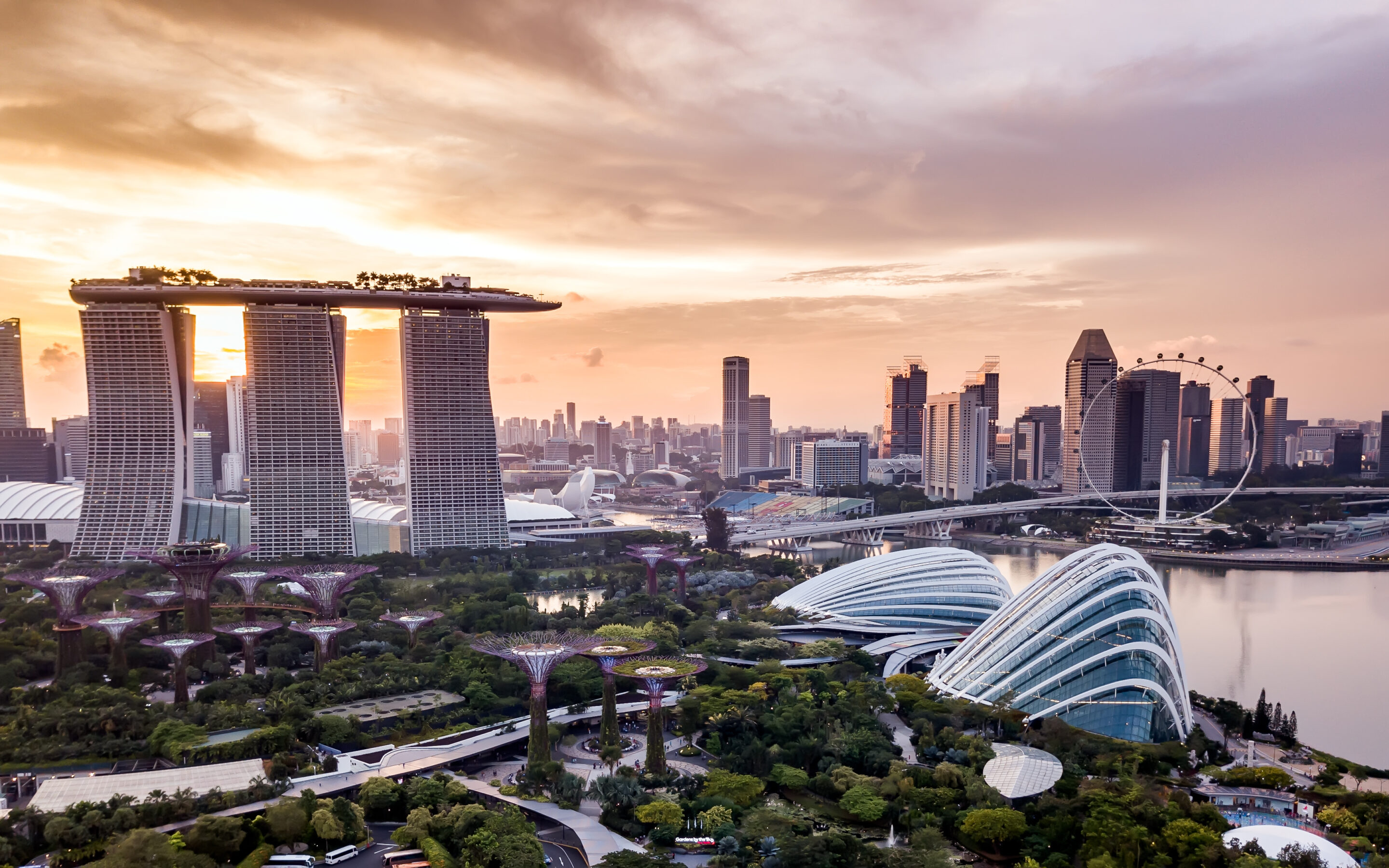 Recap: Germany Singapore Business Forum X SWITCH 2020