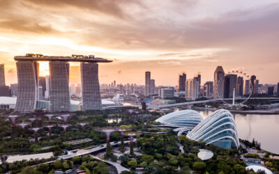 Recap: Germany Singapore Business Forum X SWITCH 2020